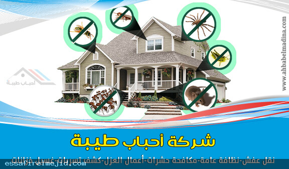 احباب طيبة للخدمات المنزلية بينبع